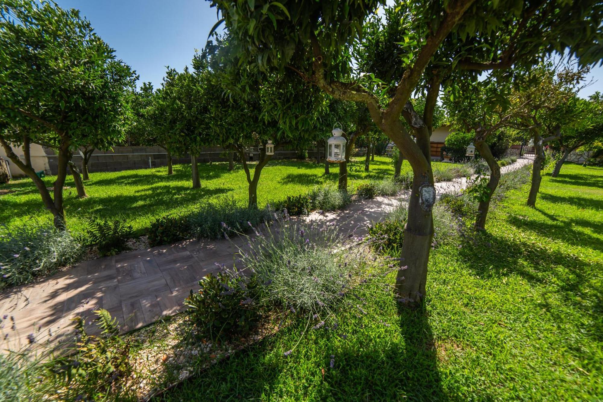 I Lecci Guesthouse San Felice Circeo Exterior photo